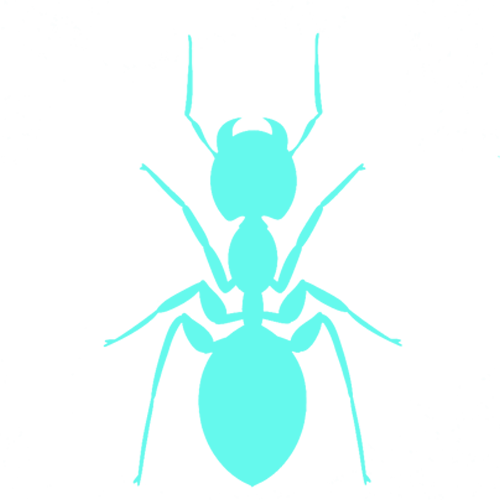 ant-icon