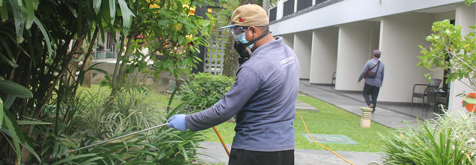 T4P Pest Control Bali working on termites injection
