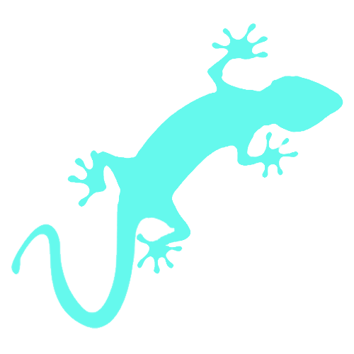 gecko-icon