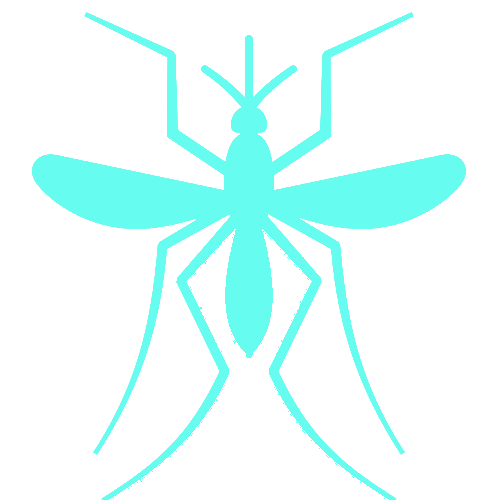 mosquito-icon