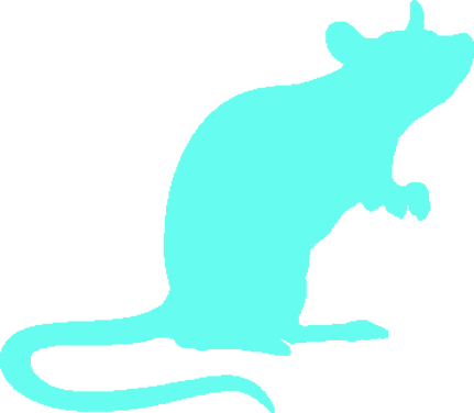 rat-icon