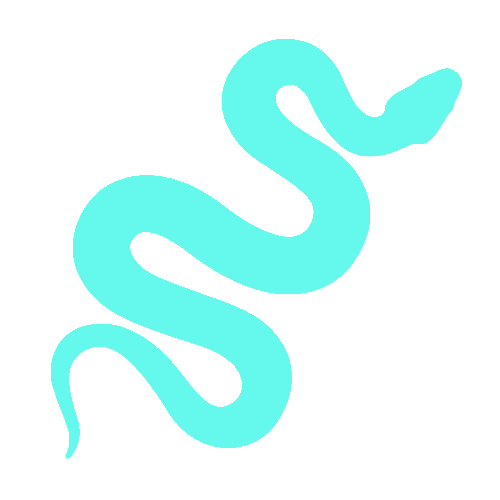 snake-icon